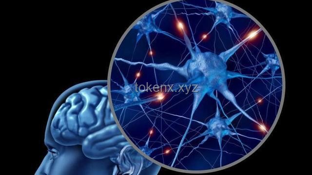 【差分宇宙科研】揭秘抽血流青雀：DOT队的终极拼图与血条消失术